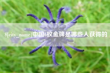 禹州中国6枚金牌是哪些人获得的