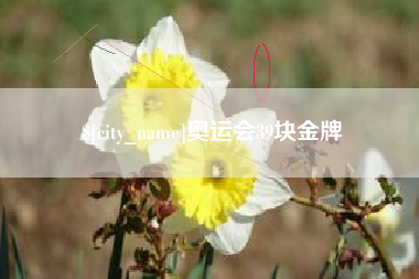 禹州奥运会39块金牌
