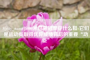 禹州5000米世界冠军穿什么鞋-它们是运动员取得优异成绩背后的重要“功臣”