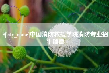 禹州中国消防救援学院消防专业招生简章