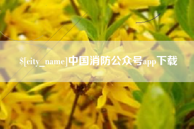 禹州中国消防公众号app下载