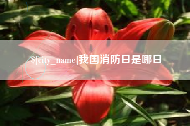 禹州我国消防日是哪日