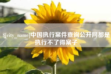 禹州中国执行案件查询公开网都是执行不了得案子