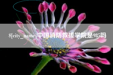 禹州中国消防救援学院是985吗