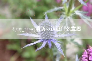 禹州消防ccc认证什么意思