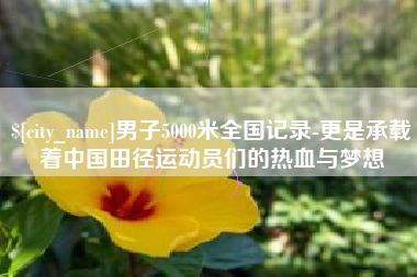 禹州男子5000米全国记录-更是承载着中国田径运动员们的热血与梦想