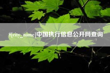 禹州中国执行信息公开网查询