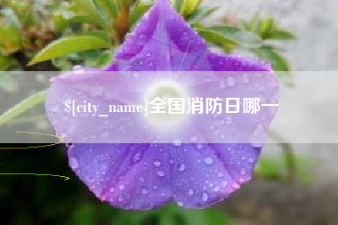 禹州全国消防日哪一