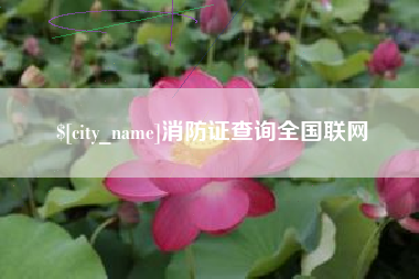 禹州消防证查询全国联网