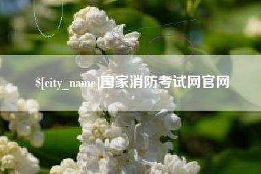 禹州国家消防考试网官网