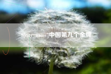 禹州中国第九个金牌
