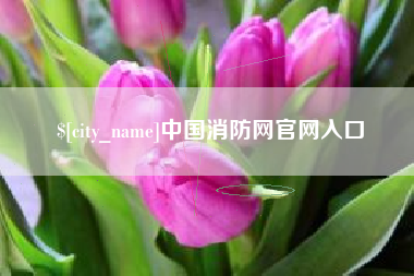 禹州中国消防网官网入口