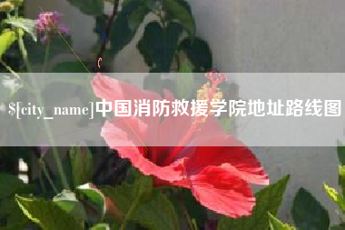 禹州中国消防救援学院地址路线图