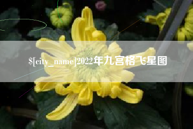 禹州2022年九宫格飞星图