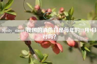 禹州我国的消防日是每年的11月9日对吗？