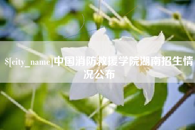 禹州中国消防救援学院湖南招生情况公布