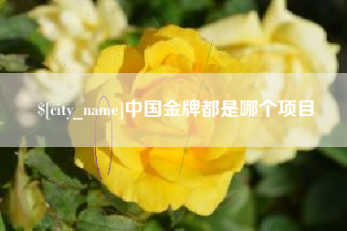 禹州中国金牌都是哪个项目