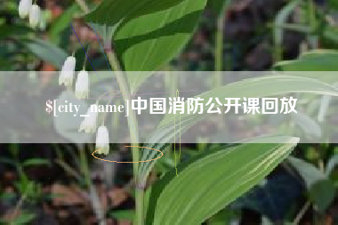 禹州中国消防公开课回放