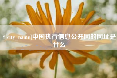 禹州中国执行信息公开网的网址是什么