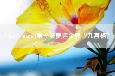 禹州第一波奥运金牌“九宫格”