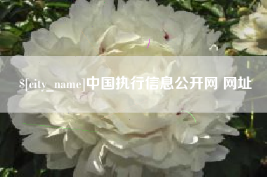 禹州中国执行信息公开网 网址