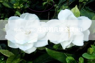 禹州中国的几块金牌2021