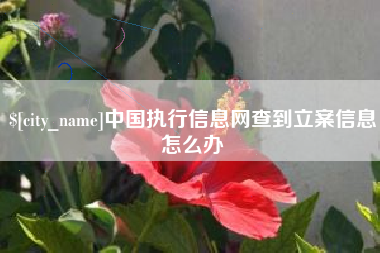 禹州中国执行信息网查到立案信息怎么办