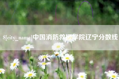 禹州中国消防救援学院辽宁分数线