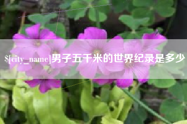 禹州男子五千米的世界纪录是多少