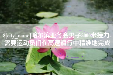 禹州哈尔滨亚冬会男子5000米接力-需要运动员们在高速滑行中精准地完成