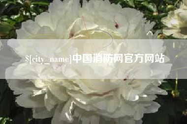 禹州中国消防网官方网站