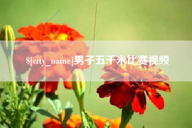 禹州男子五千米比赛视频