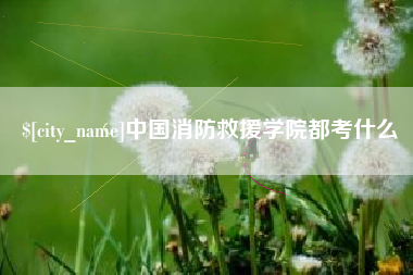 禹州中国消防救援学院都考什么