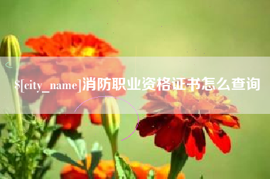 禹州消防职业资格证书怎么查询
