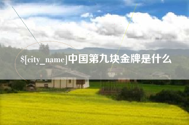 禹州中国第九块金牌是什么