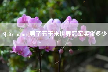 禹州男子五千米世界冠军奖金多少