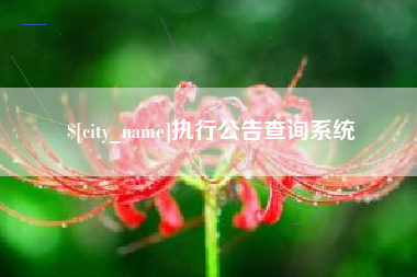 禹州执行公告查询系统