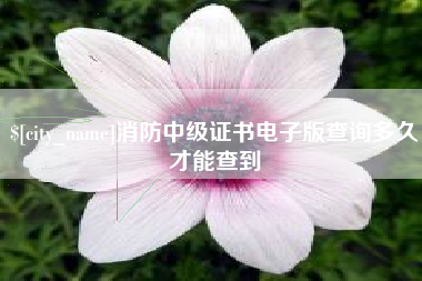 禹州消防中级证书电子版查询多久才能查到