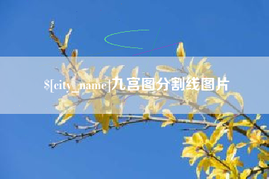 禹州九宫图分割线图片