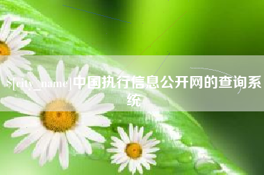 禹州中国执行信息公开网的查询系统