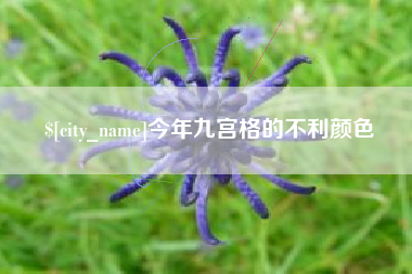 禹州今年九宫格的不利颜色