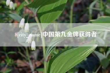 禹州中国第九金牌获得者