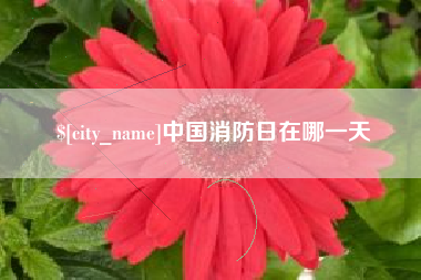 禹州中国消防日在哪一天