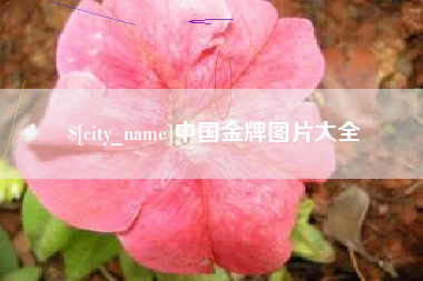 禹州中国金牌图片大全