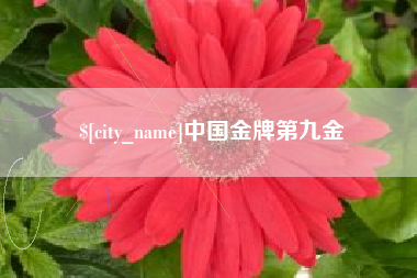 禹州中国金牌第九金