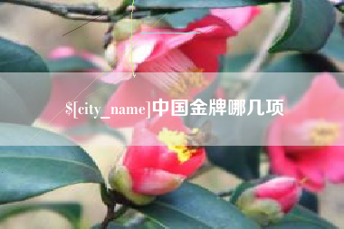 禹州中国金牌哪几项