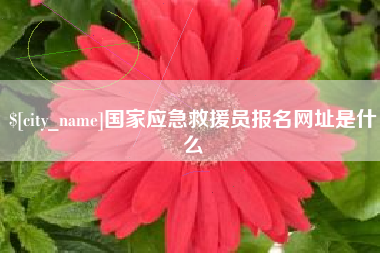 禹州国家应急救援员报名网址是什么