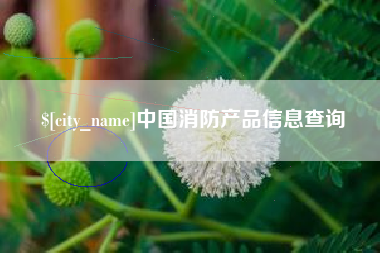 禹州中国消防产品信息查询