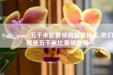 禹州五千米比赛领跑员是什么-他们就是五千米比赛领跑员