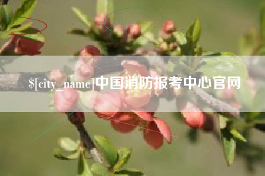 禹州中国消防报考中心官网
